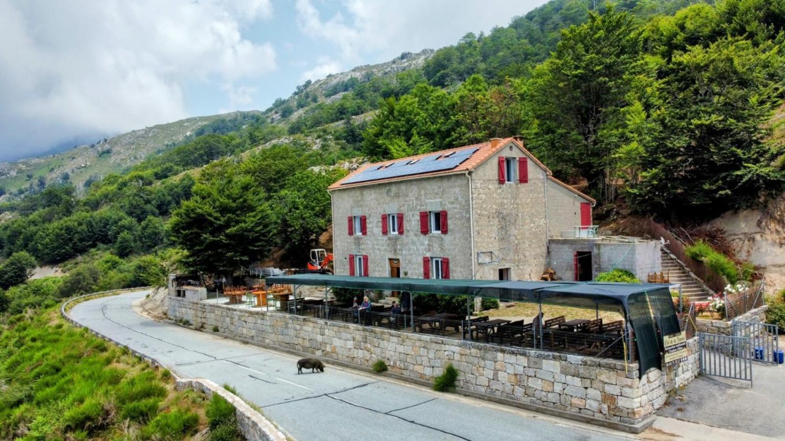 Ferme Du Col De La Vaccia Affittacamere Olivese