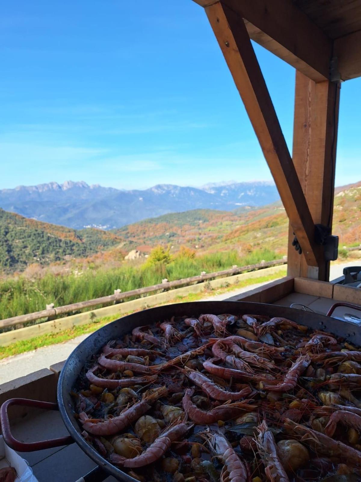 Ferme Du Col De La Vaccia * Olivese